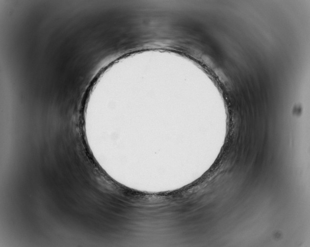X0000103441308200810241112