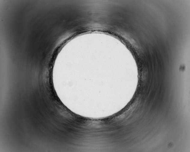 X0000103441309200810241112