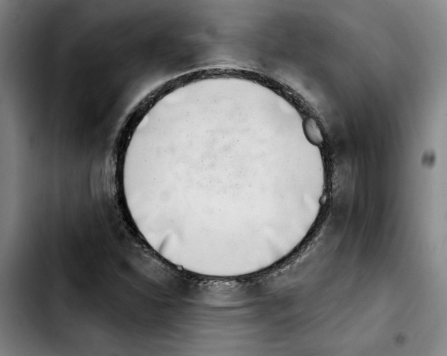 X0000103441310200810241112