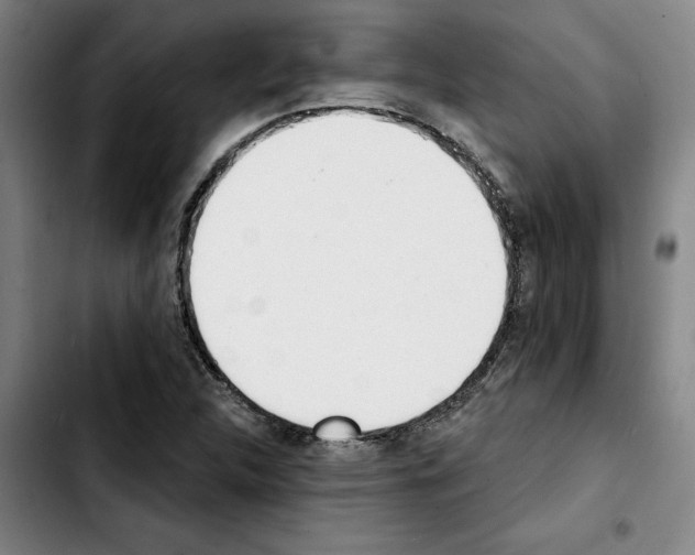 X0000103441312200810241112