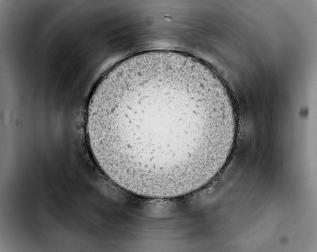 X0000103441314200810241112