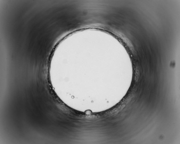 X0000103441316200810241112