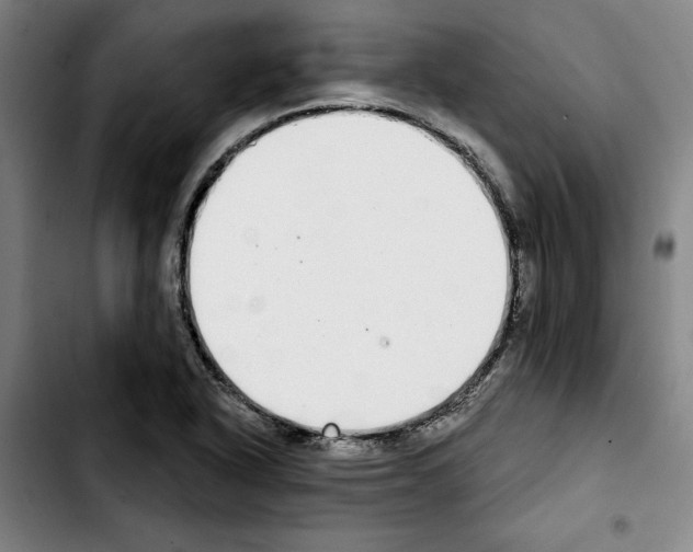 X0000103441318200810241112