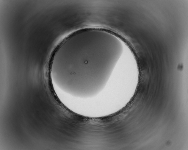 X0000103441319200810241112