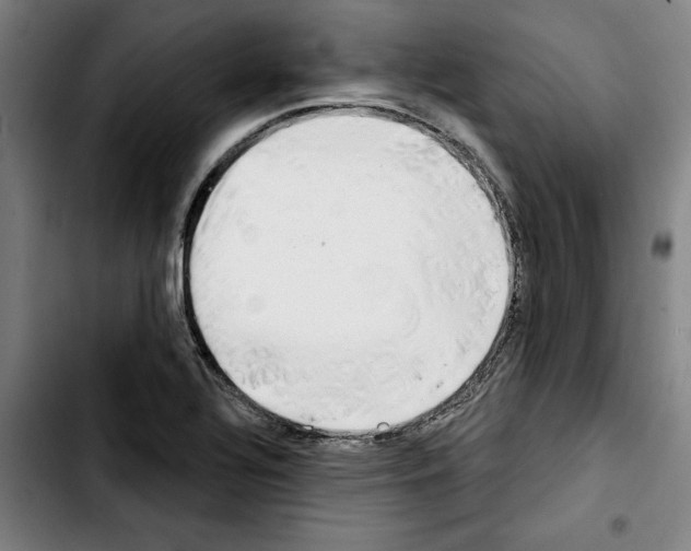 X0000103441320200810241112