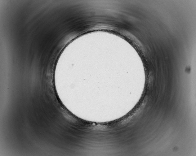 X0000103441321200810241112