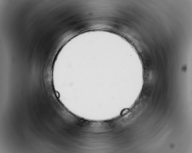 X0000103441322200810241112