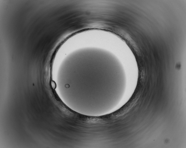 X0000103441323200810241112