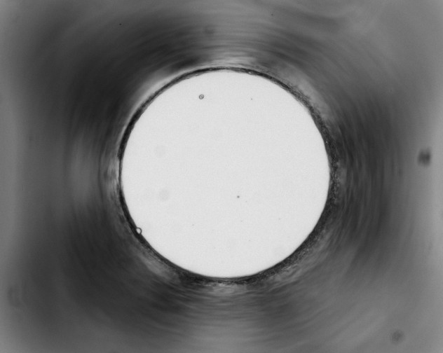 X0000103441324200810241112