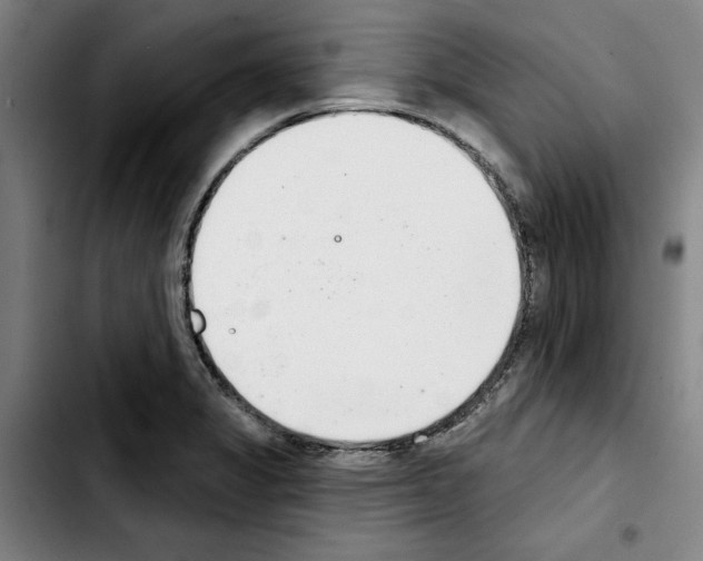X0000103441325200810241112