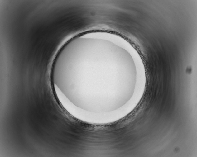 X0000103441326200810241112