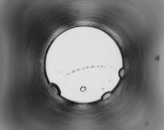 X0000103441330200810241113
