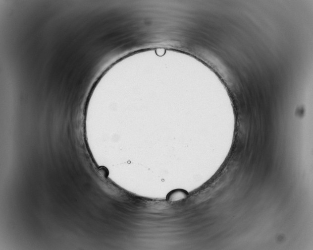 X0000103441332200810241113