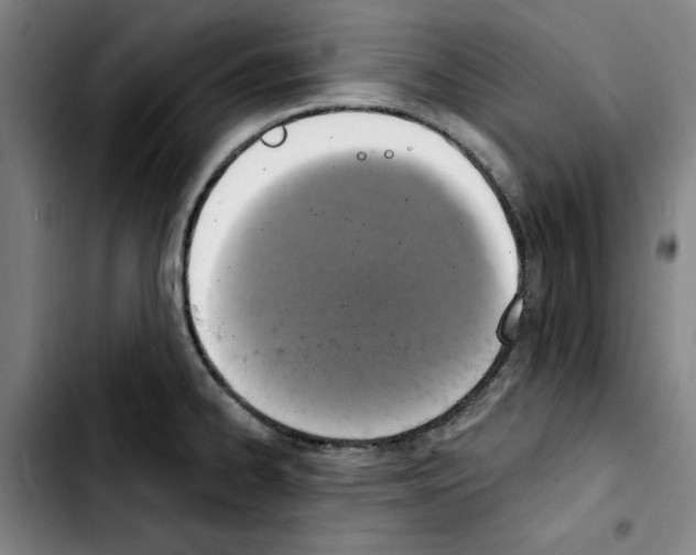 X0000103441334200810241113