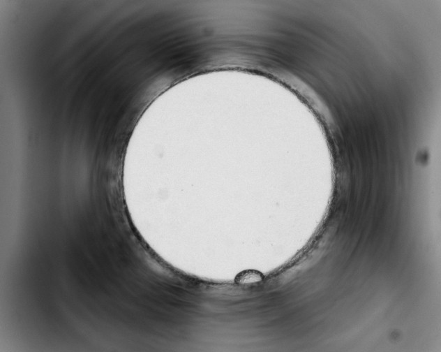 X0000103441337200810241113