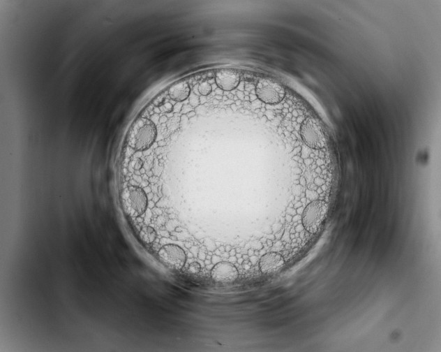 X0000103441338200810241113
