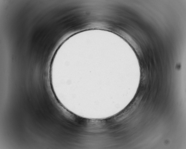 X0000103441339200810241113
