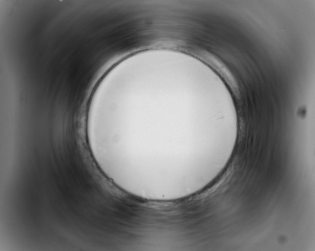 X0000103441340200810241113