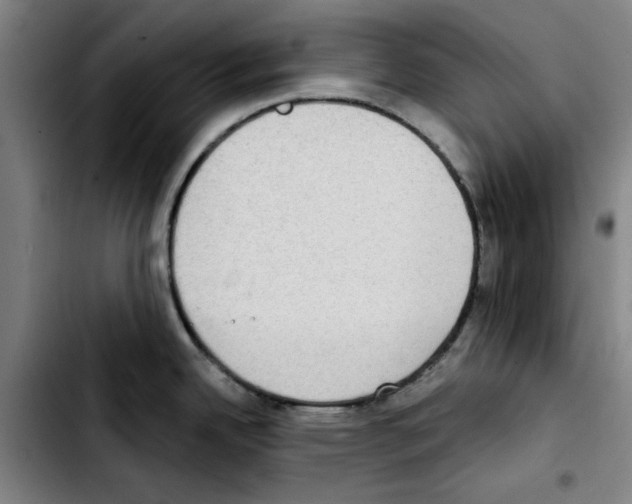 X0000103441342200810241113