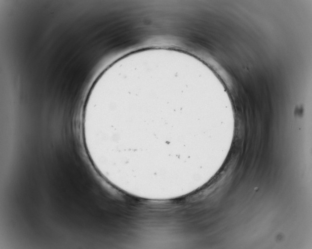 X0000103441343200810241113