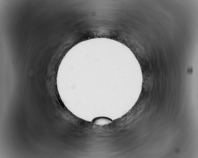 X0000103441345200810241112