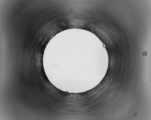 X0000103441346200810241112