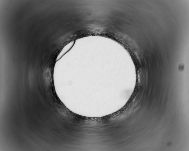 X0000103441347200810241112