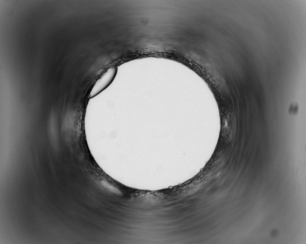 X0000103441348200810241112