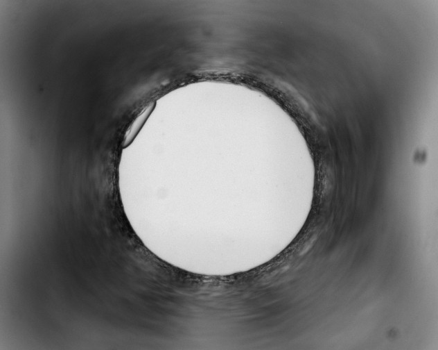 X0000103441350200810241112