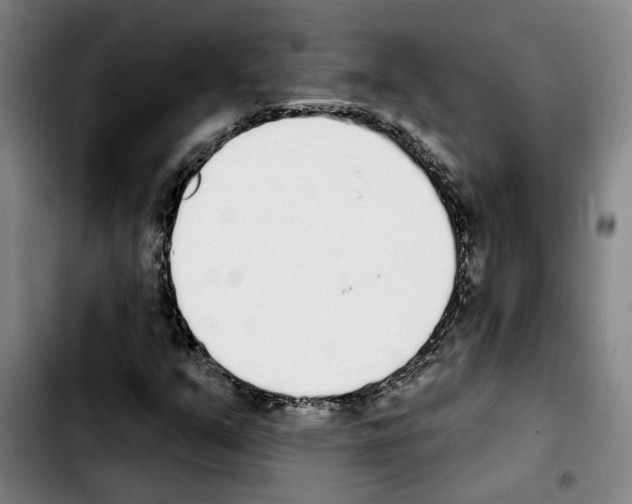 X0000103441351200810241112