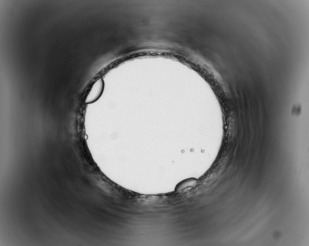 X0000103441352200810241112