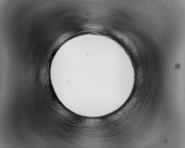 X0000103441354200810241112