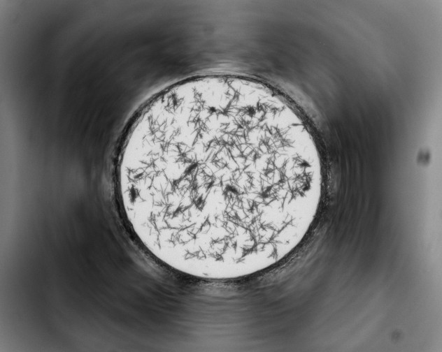 X0000103441356200810241112