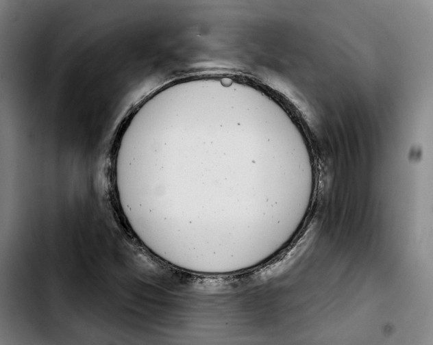 X0000103441357200810241112