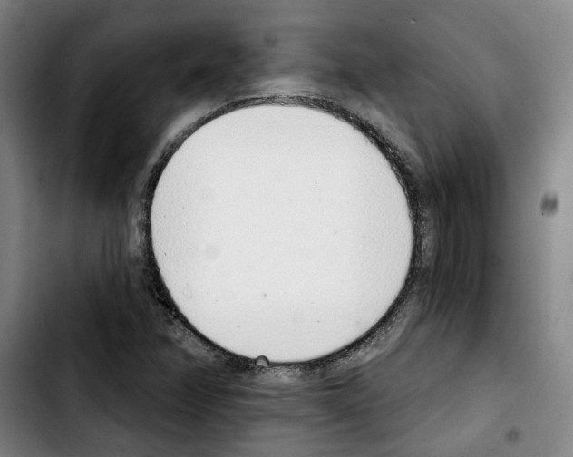 X0000103441358200810241112