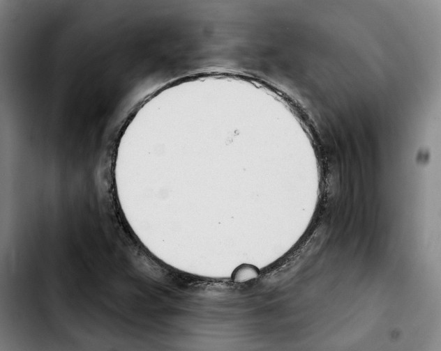 X0000103441359200810241112