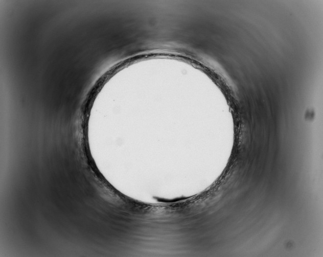 X0000103441360200810241112