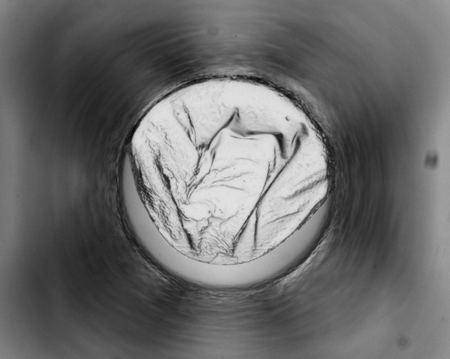 X0000103441361200810241112