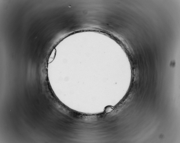 X0000103441363200810241112