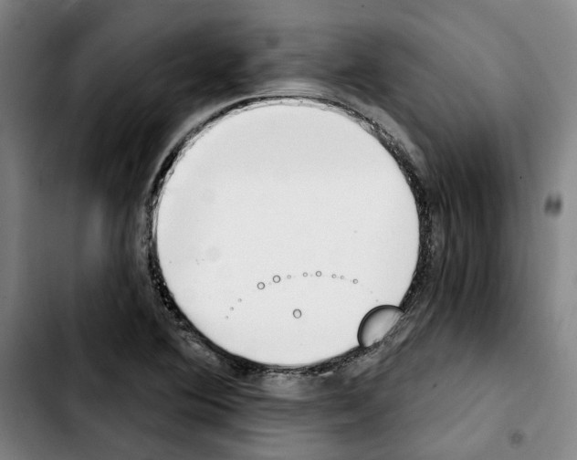 X0000103441364200810241112
