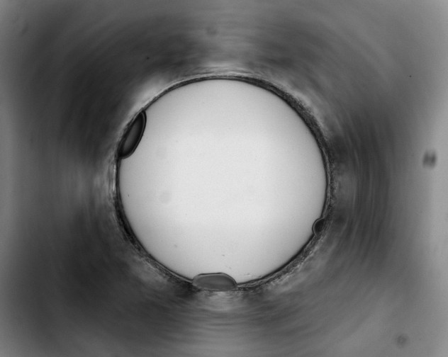 X0000103441365200810241112