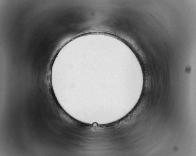 X0000103441366200810241112