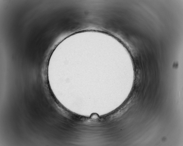 X0000103441367200810241112
