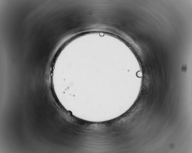 X0000103441368200810241112