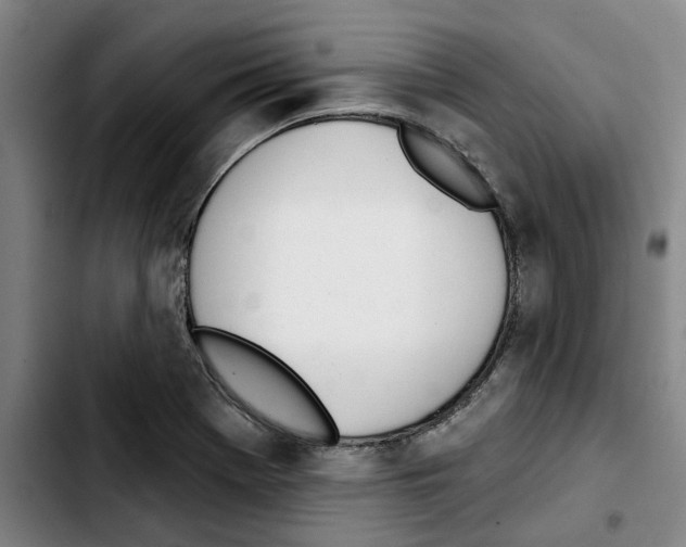 X0000103441369200810241112