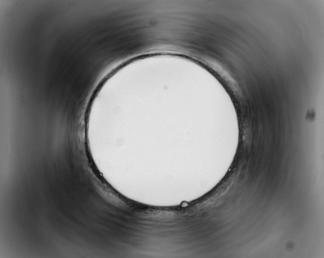 X0000103441372200810241112