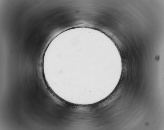 X0000103441375200810241112