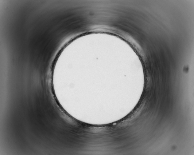 X0000103441376200810241112