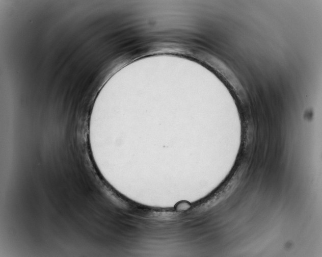 X0000103441377200810241112
