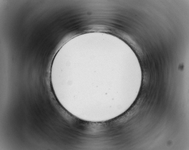 X0000103441378200810241112